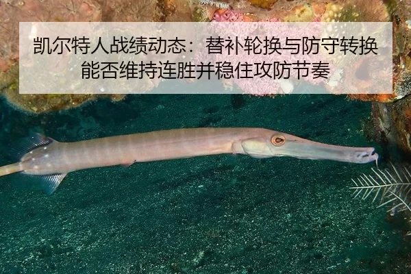 凯尔特人战绩动态：替补轮换与防守转换能否维持连胜并稳住攻防节奏